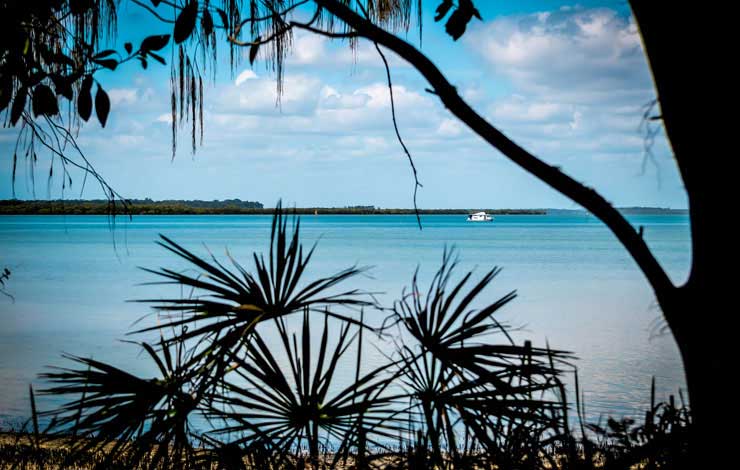 Inskip Point Camping Grounds